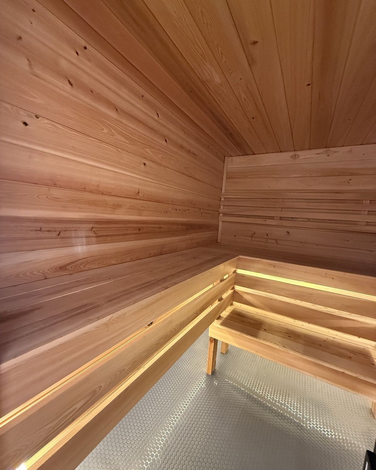 Cedar ceiling and upper bench inside the sauna
